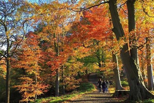 Allen Banks - photo courtesy of hadrianswallpictures.com