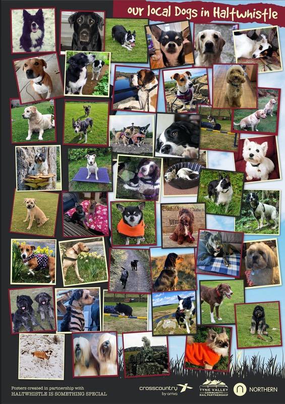 HISS MONTAGE DOGS POSTER