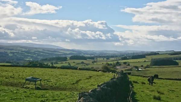 Stunning scenery looking South from the Tarn