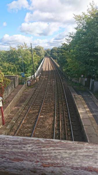 Wetheral Bridge from the Station bridge
