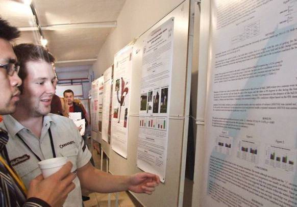 Active Travel in the Tyne Valley